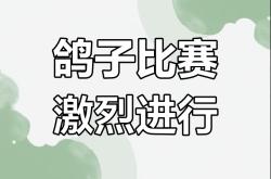 包含欧预赛惊心动魄，谁能笑到最后？的词条